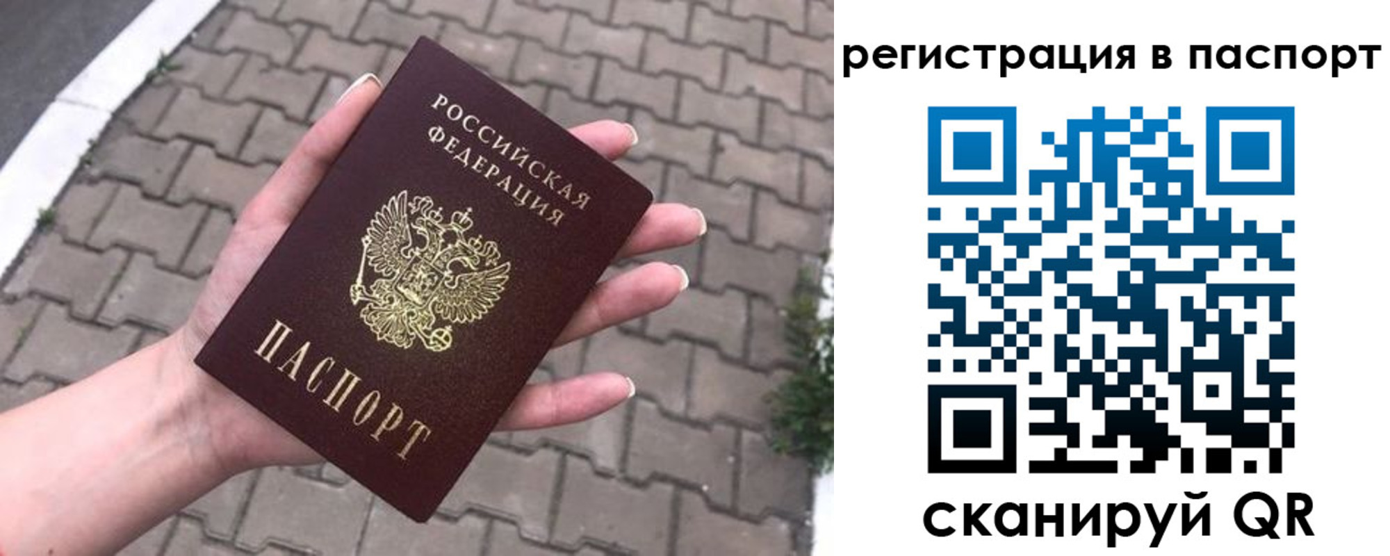 временная регистрация поиск в Донском